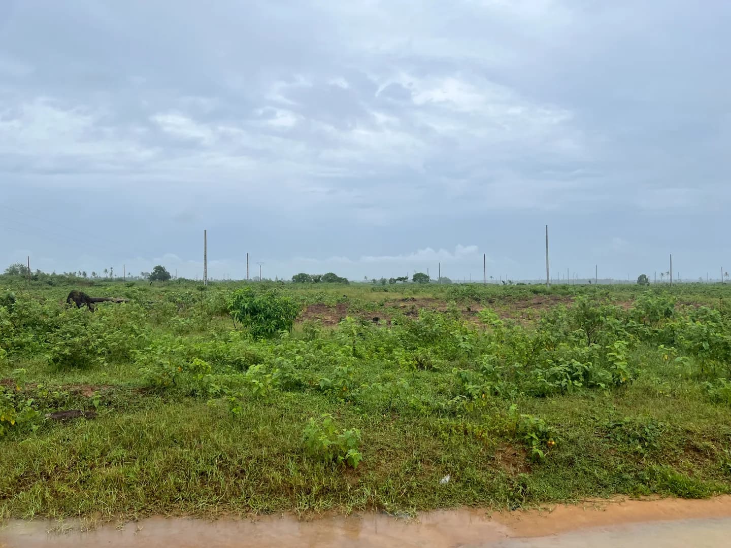 Vue 1 du projet Audoin Santé Résidentiel, 500 m² situé à Audoin