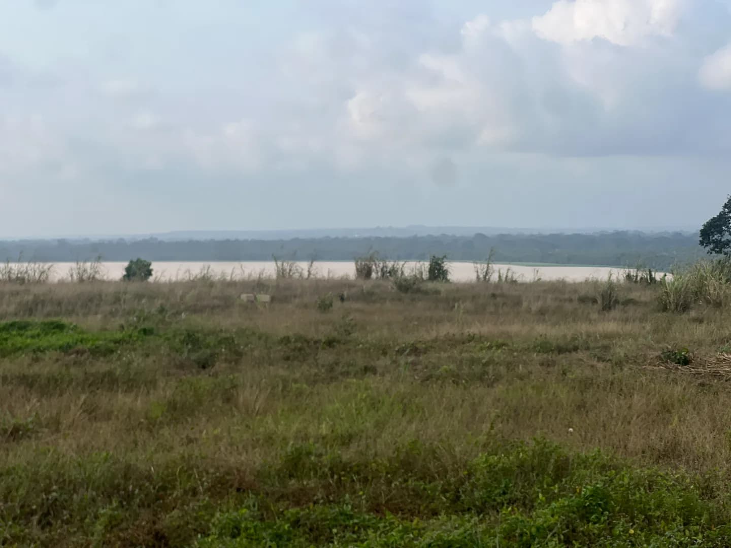 Vue 1 du projet Deux lots contigus de 400 m² face à la lagune Ébrié situé à Elokato, sous-préfecture de Bingerville