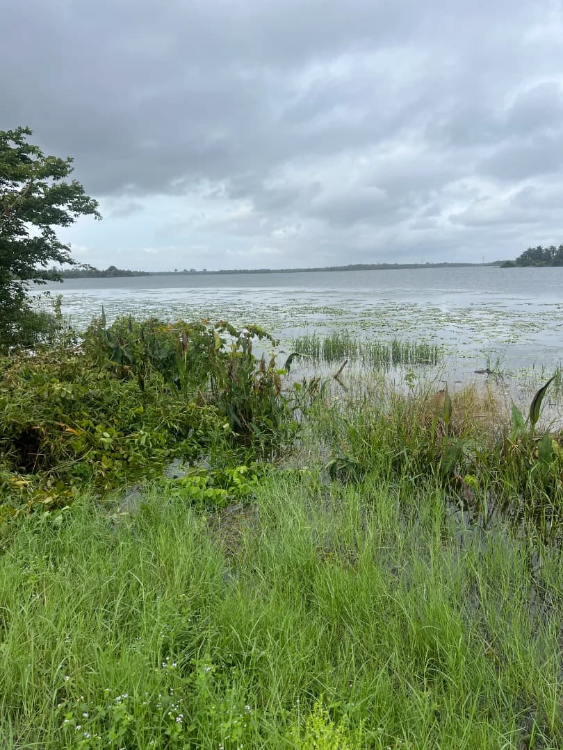 Photo of Lot de 569 m² à Songon, près du lac Labion in Audoin Santé, lotissement Terre Promise Bis (îlot 52, lot 320), près du lac Labion