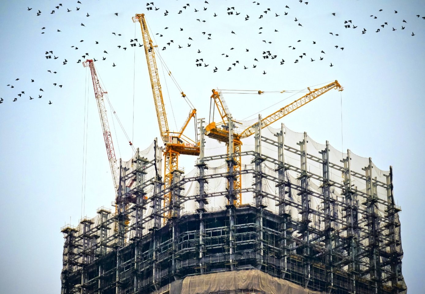 image article construction