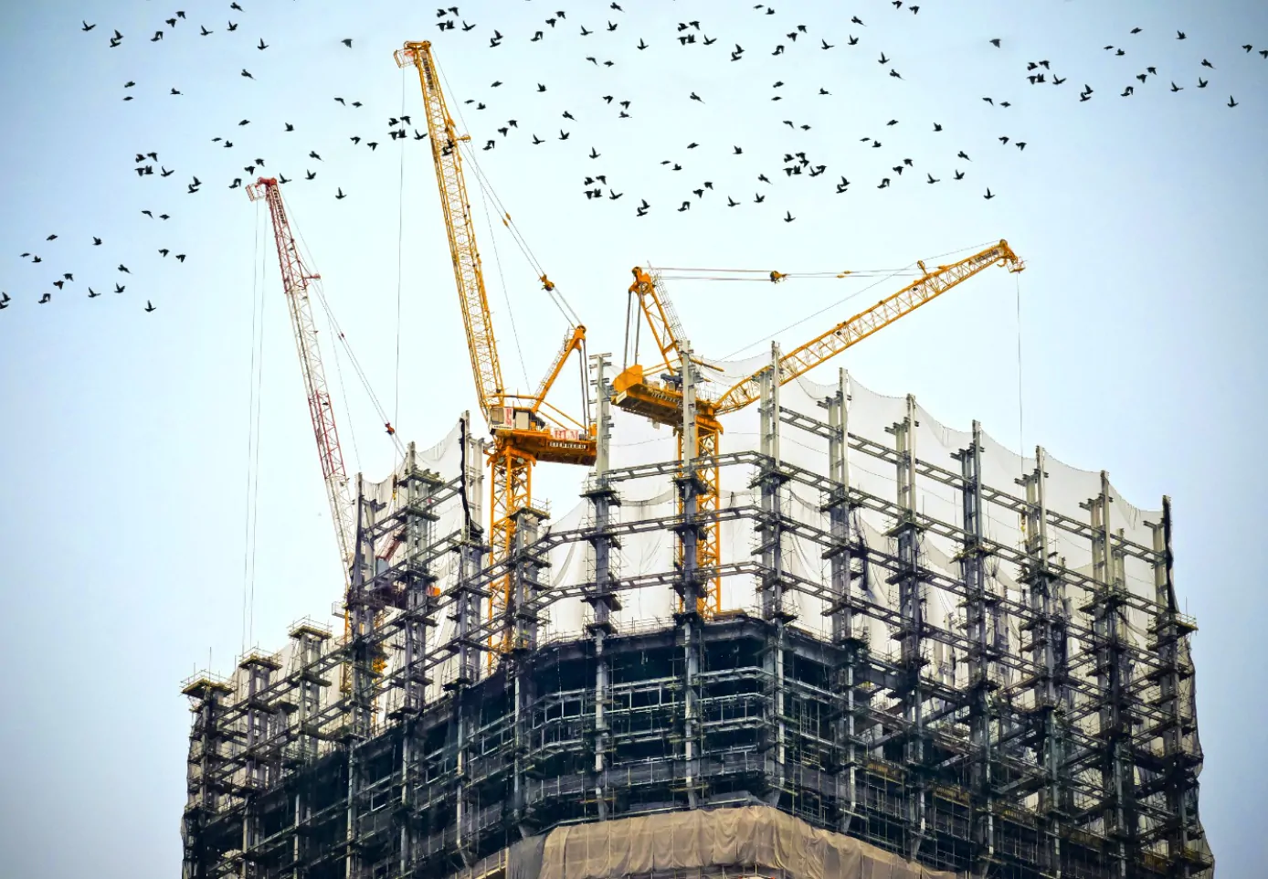 image article construction